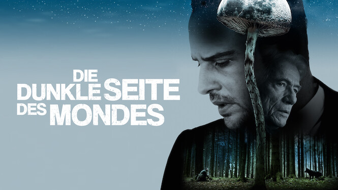 Die dunkle Seite des Mondes